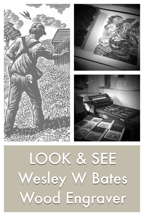 Movie poster for LOOK & SEE: Wesley W. Bates - Wood Engraver (2017)