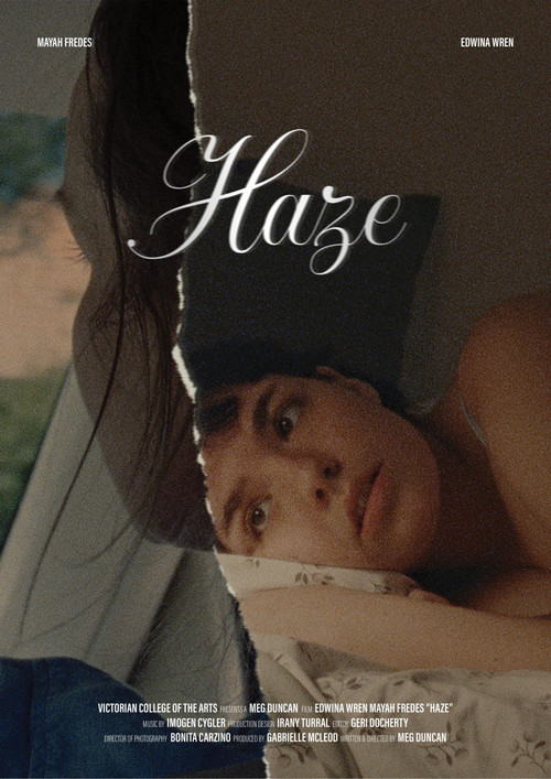 Movie poster for Haze