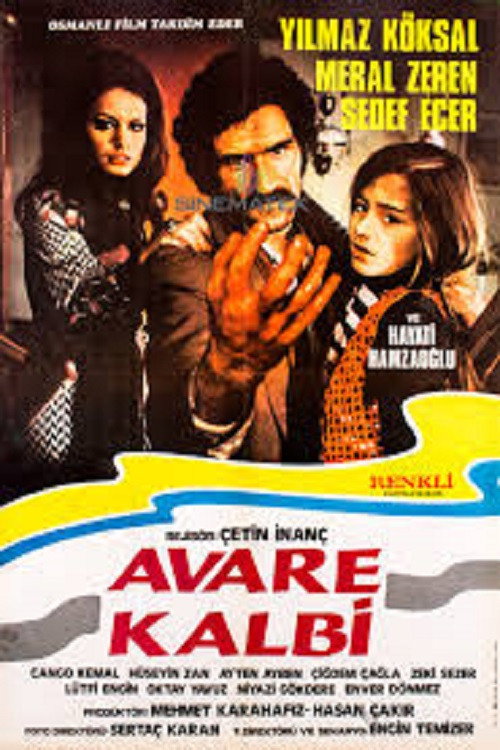 Movie poster for Avare Kalbi (1971)