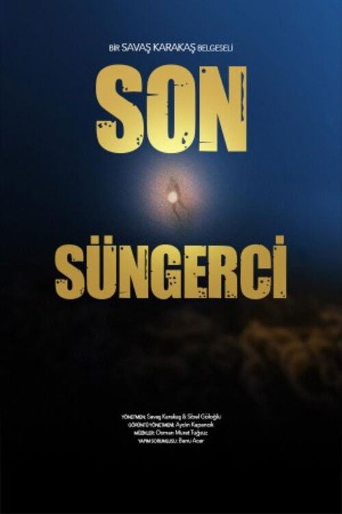 Movie poster for Son Süngerci (2012)