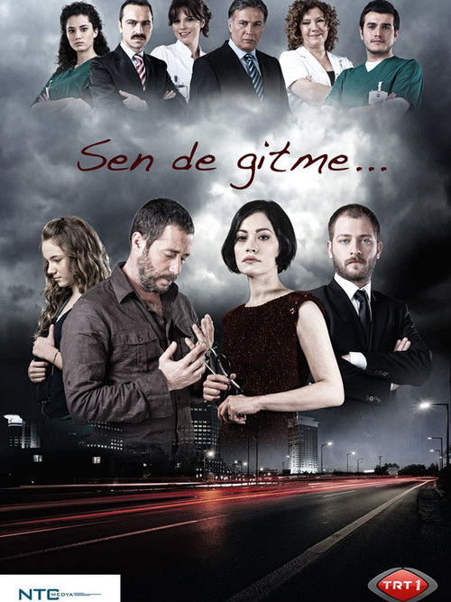 Sen de Gitme poster