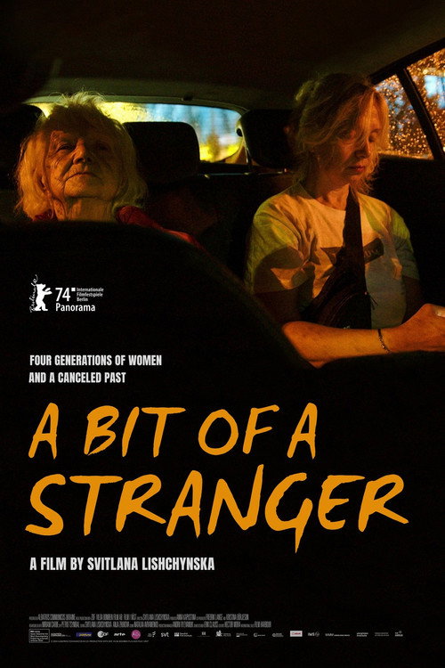 Movie poster for A Bit of a Stranger (2024)