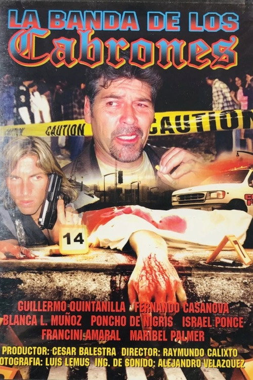 Movie poster for Violencia en las calles (2004)