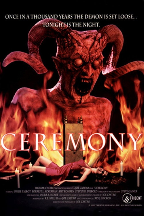 Movie poster for Ceremony (1994)