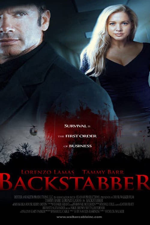 Movie poster for Backstabber (2011)