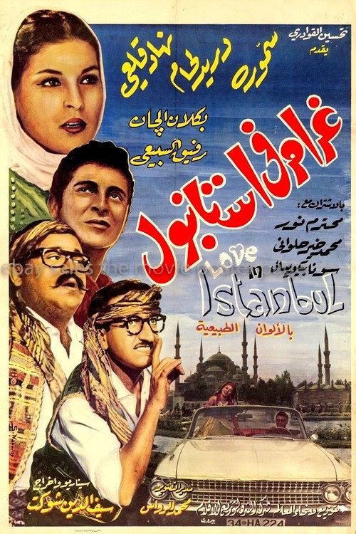 Movie poster for Love in Istanbul (1966)