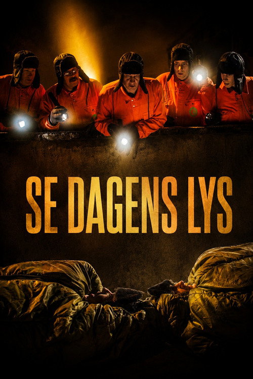 Movie poster for Se dagens lys (2003)