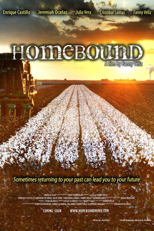Movie poster for Homebound (2013)