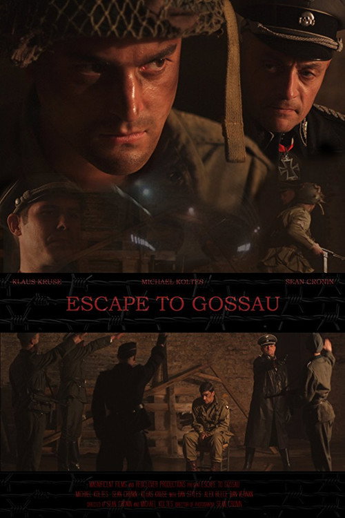 Movie poster for Escape to Gossau (2013)