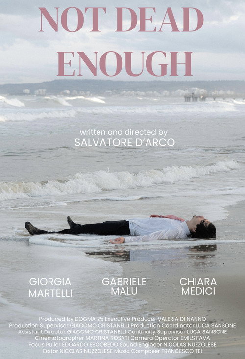 Movie poster for Not dead enough (2025)