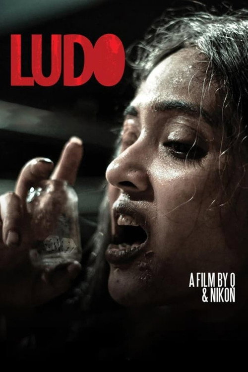 Movie poster for Ludo (2015)
