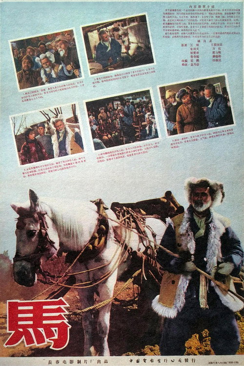 Movie poster for The Horse (1956)