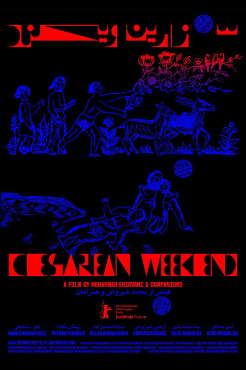 Movie poster for Cesarean Weekend (2026)