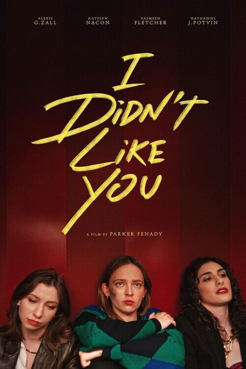 Movie poster for I Didn't Like You (2026)