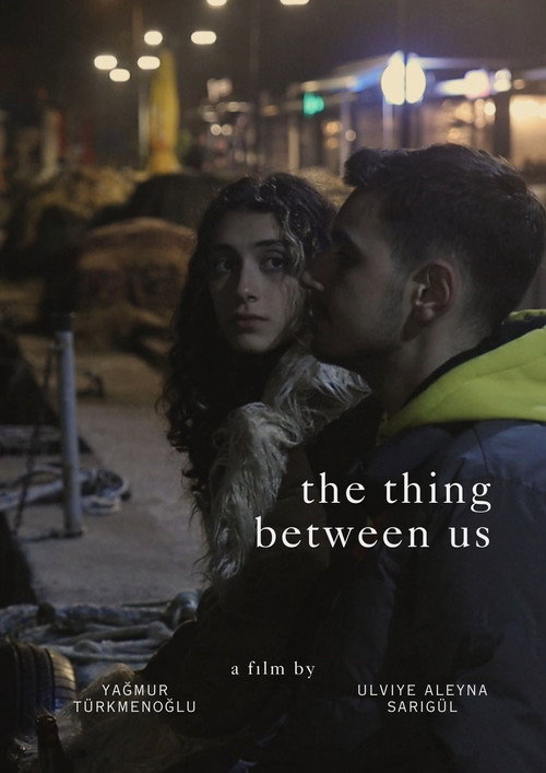Movie poster for The Thing Between Us