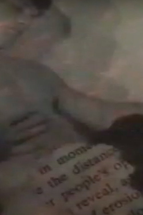 Movie poster for Sexual Economy of Risk (2002)