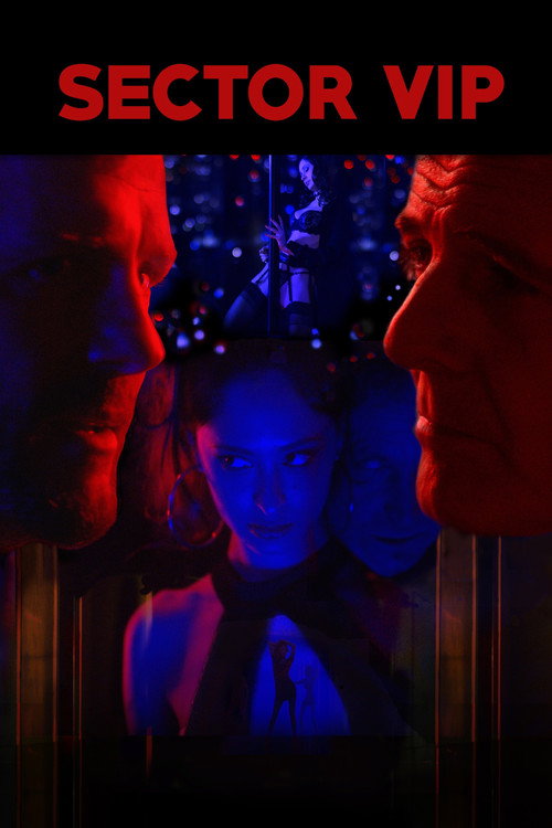 Movie poster for Sector VIP (2021)