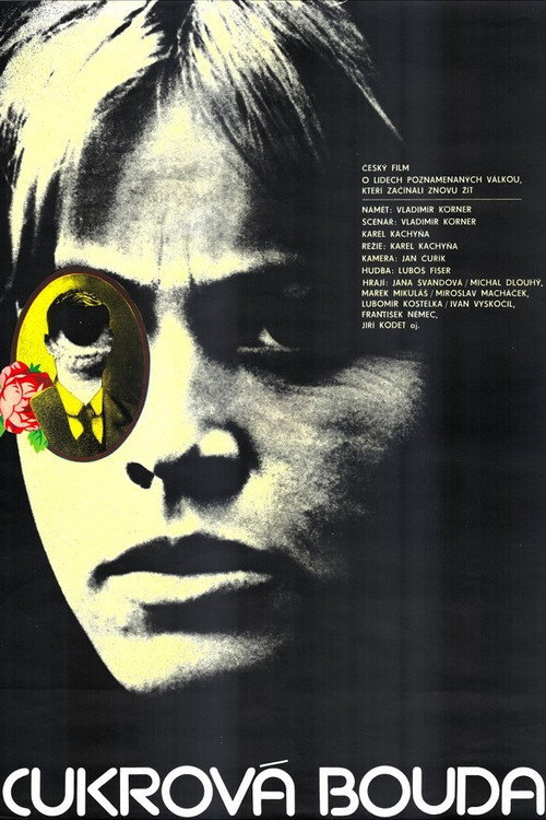 Movie poster for Sugar House (1981)