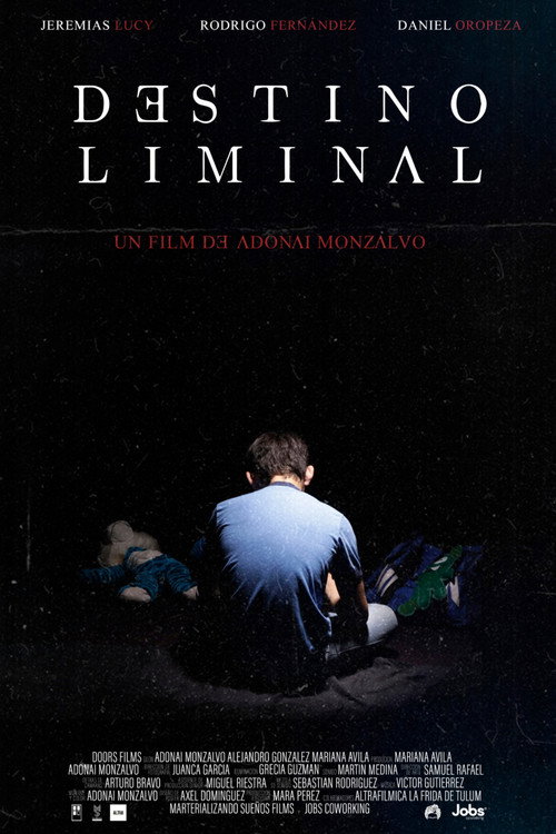 Movie poster for Destino Liminal (2022)