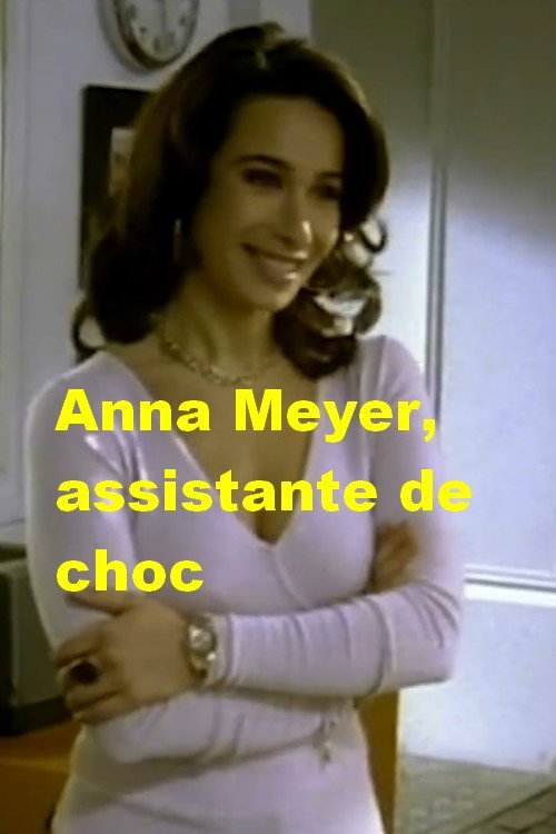 Movie poster for Anna Meyer, assistante de choc (2006)