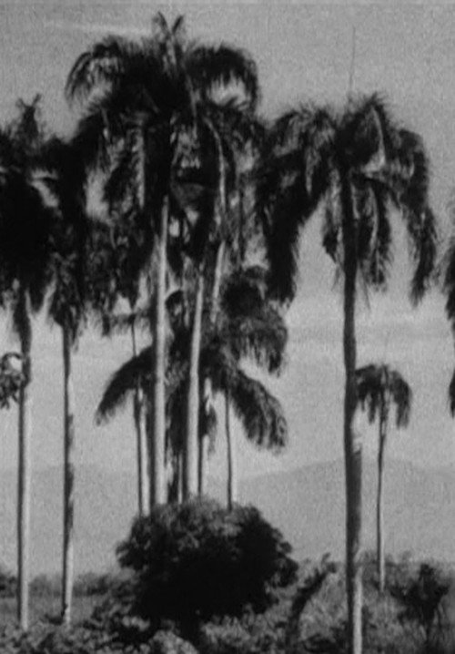 Movie poster for Haiti (1938)