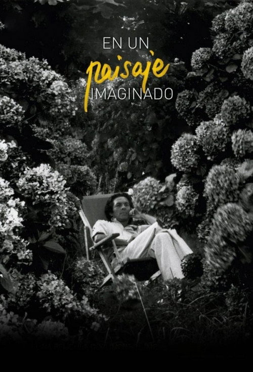 Movie poster for Imagined Landscape (2012)