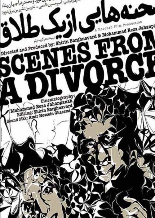Movie poster for Scenes From a Divorce