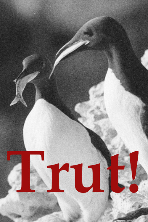 Movie poster for The Gulls (1944)