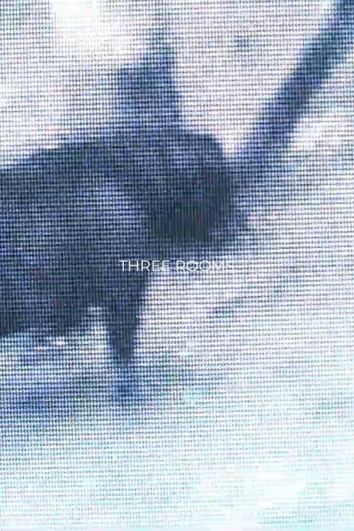 Movie poster for Three Rooms (2022)