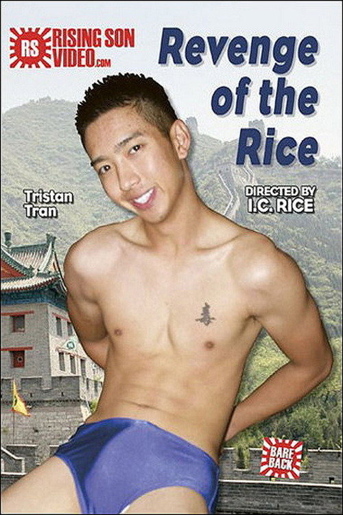 Movie poster for Revenge of the Rice (2008)