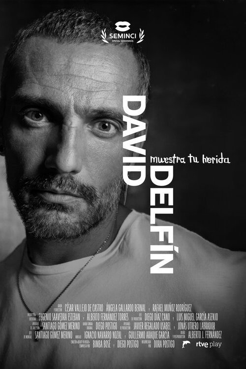 Movie poster for David Delfín, muestra tu herida (2025)