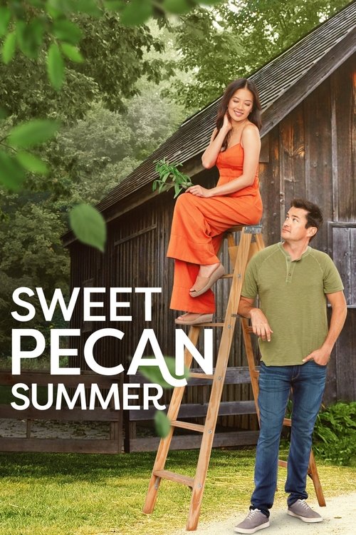 Movie poster for Sweet Pecan Summer (2021)