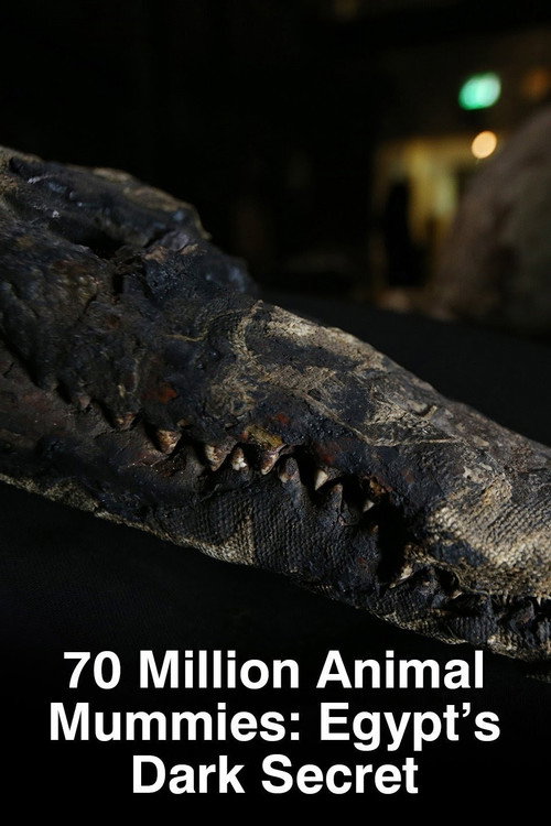 Movie poster for 70 Million Animal Mummies: Egypt's Dark Secret (2015)