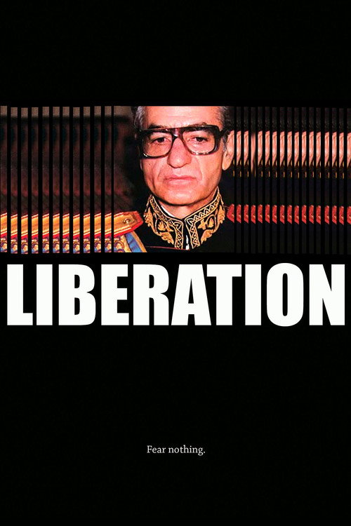 Movie poster for Liberation (2009)