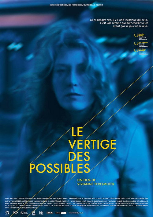 Movie poster for Le vertige des possibles (2014)