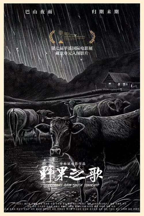 Movie poster for The Night Rain South Township (2025)