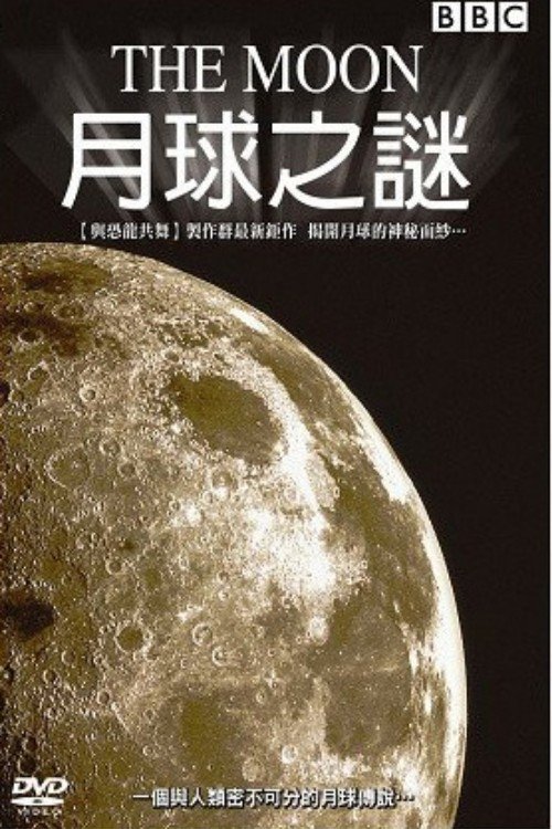 Movie poster for The Moon (2006)