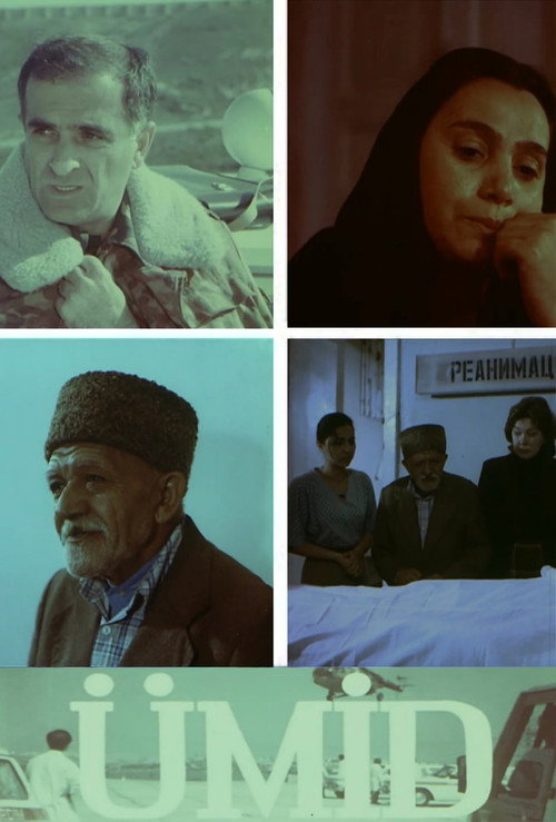 Movie poster for The Hope (1995)