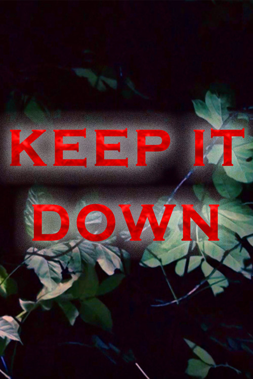 Movie poster for Keep It Down