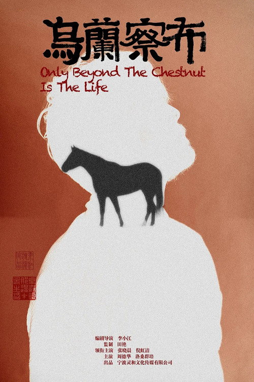 Movie poster for 乌兰察布 (2022)