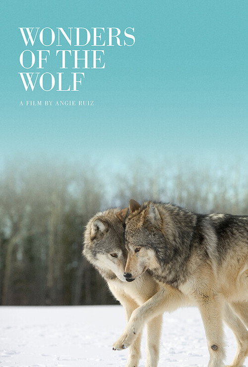 Movie poster for Wonders of the Wolf (2024)