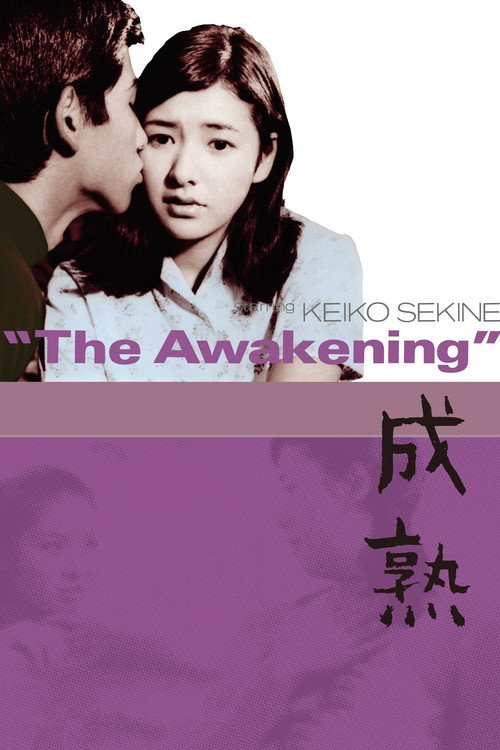 Movie poster for The Awakening (1971)
