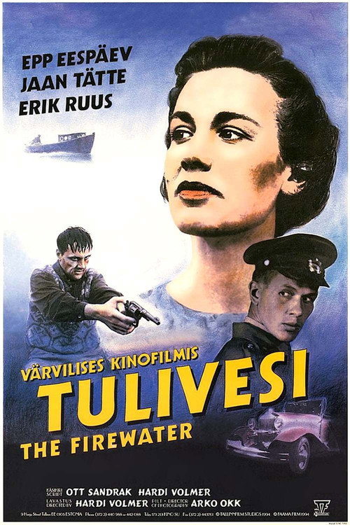 Movie poster for The Firewater (1994)