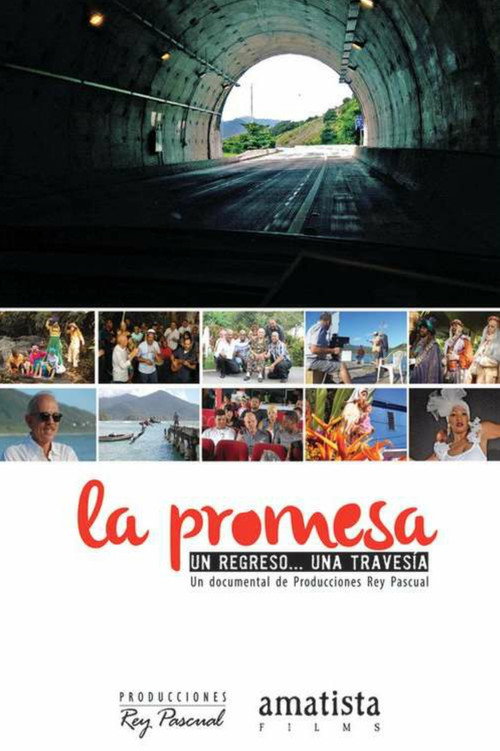 Movie poster for La promesa (2014)