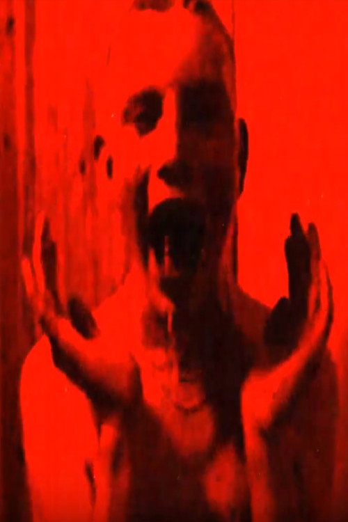 Movie poster for Savisilta (2017)