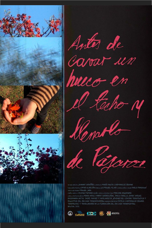 Movie poster for Before cutting a hole in the sky and filling it with birds (2023)