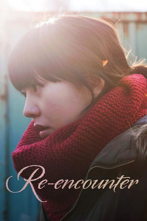 Movie poster for Re-encounter (2011)