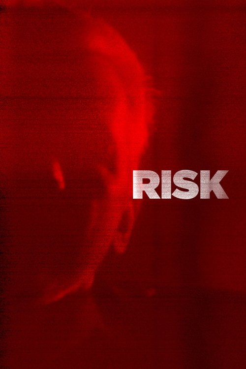Movie poster for Risk (2017)