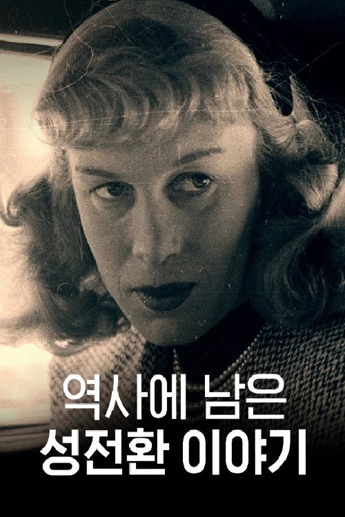 Series poster for 역사에 남은 성전환 이야기 (2019)