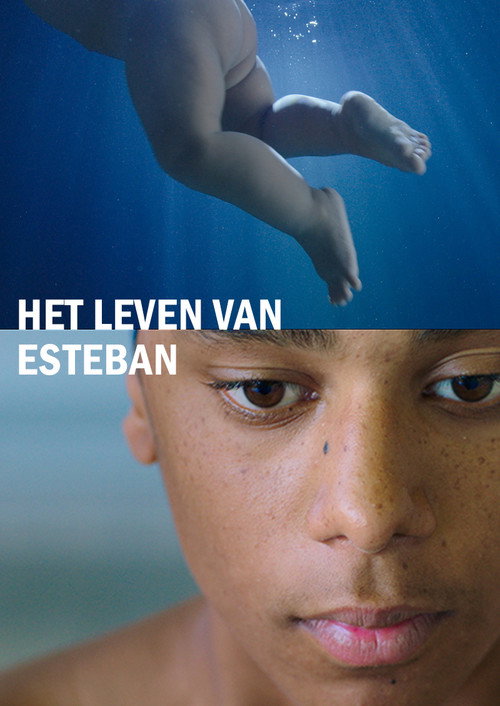 Movie poster for The Life of Esteban (2017)